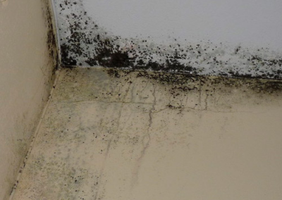 NaNIE arquitectura interior 094 400x284 - Trabajos Realizados